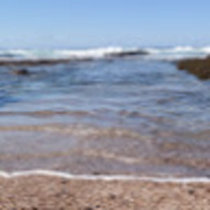 Meet your Posher, Lesley